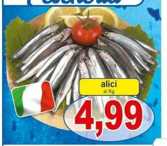 Pewex Alici offerta