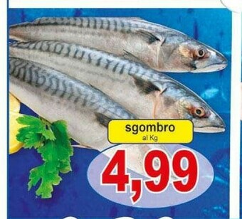 Pewex Filetti di sgombro offerta