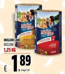 Coop Master Alleanza 3.0 Miglior cane Bocconi offerta