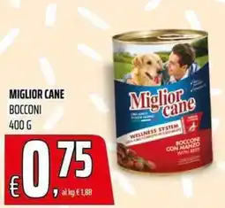 Coop Master Alleanza 3.0 Miglior cane bocconi offerta