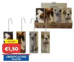 Huali Market Umidificatore Assortiti offerta