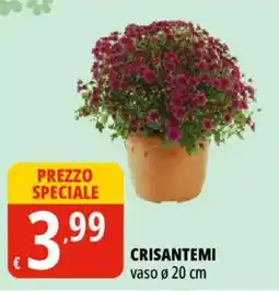 Tigros Crisantemi offerta