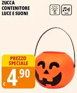 Tigros Zucca contenitore offerta