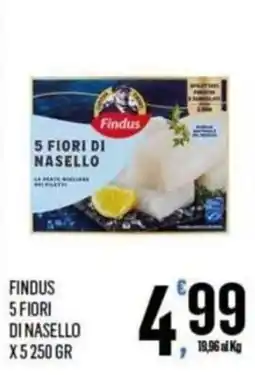 Vibian Findus 5 Fiori di Nasello offerta