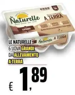 Coop Master Alleanza 3.0 Le Naturelle uova grandi da allevamento a terra offerta