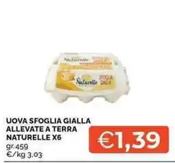 Mercatò Uova sfoglia gialla allevate a terra naturelle offerta