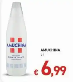 Maxi Coal Amuchina disinfettante concentrato offerta