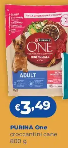 Acqua & Sapone Purina One croccantini cane offerta