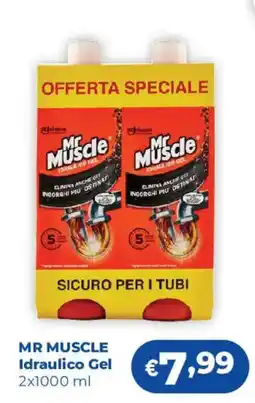 Acqua & Sapone Mr Muscle Idraulico Gel offerta