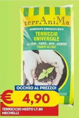 Gipsi Terriccio universale terrAniMa offerta
