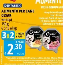 Tigros Alimento per cane Cesar offerta