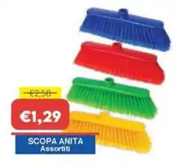Huali Market Scopa Anita Assortiti offerta