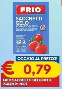 Gipsi Frio sacchetti gelo medi offerta