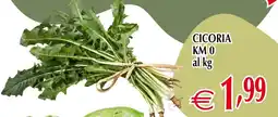 Centro Oceano Cicoria offerta