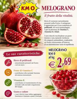 Centro Oceano Melograno KM O offerta