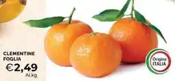 Mercatò Clementine Foglia offerta