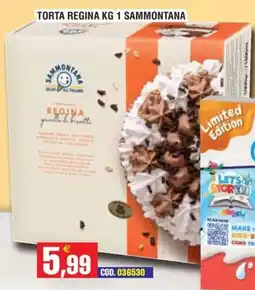 Immenso Cash Torta Regina Sammontana offerta