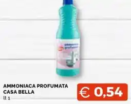 Maxisconto Ammoniaca profumata Casa Bella offerta