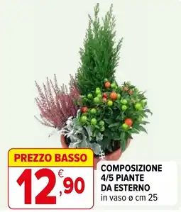 Iperal Composizione 4/5 piante da esterno offerta