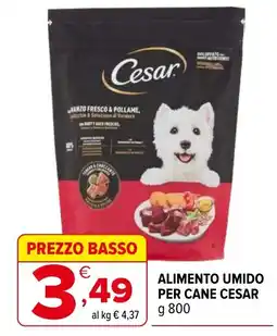 Iperal Alimento umido per cane Cesar offerta