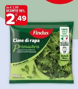Iperal Findus Cime di rapa Primavera offerta