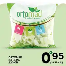 Extra Supermercati Ortomad iceberg offerta