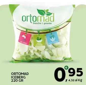 Ortomad iceberg