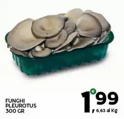 Extra Supermercati Funghi Pleurotus offerta