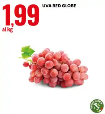 Uva Red Globe