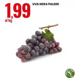 Eurospin Uva nera Palieri offerta