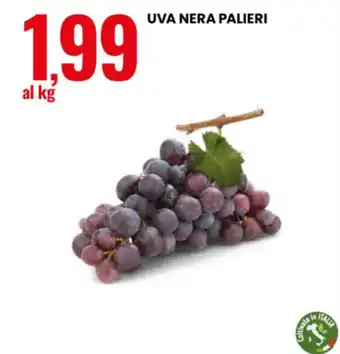Eurospin Uva nera Palieri offerta