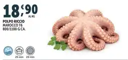 Deco Superfreddo Polpo riccio offerta