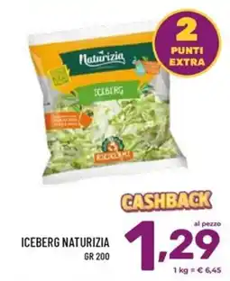 Il Centesimo Iceberg Naturizia offerta