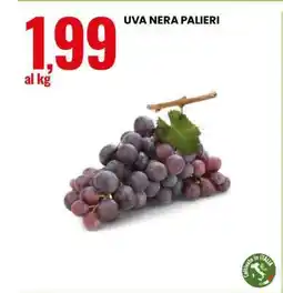 Eurospin UVA NERA PALIERI offerta
