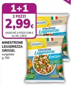 Basko Minestrone Leggerezza Orogel offerta