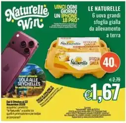 Famila Naturelle uova grandi sfoglia gialla da allevamento a terra offerta