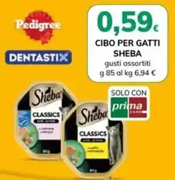 Basko Sheba Classics offerta