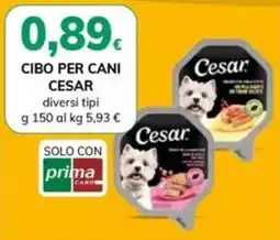 Basko Cibo per cani Cesar offerta
