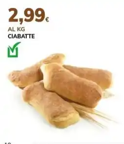 Basko Ciabatte offerta