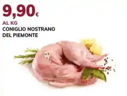 Basko Coniglio nostrano del Piemonte offerta