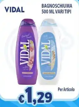 Opportunity Shop Bagnoschiuma Vidal offerta