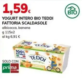 Yogurt intero bio Teddi
