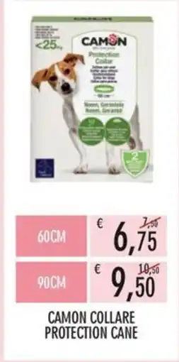 Moby Dick Camon collare protection cane offerta
