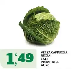 Ok Sigma Verza cappuccia riccia offerta