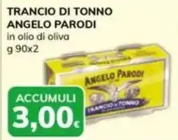 Basko Trancio di tonno Angelo Parodi offerta