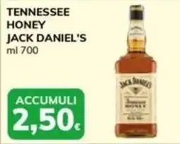 Basko Jack Daniel's Tennessee Honey offerta