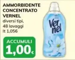 Basko Ammorbidente concentrato Vernel offerta