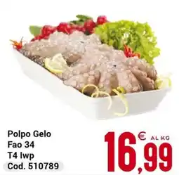 Centro Cash Polpo Gelo offerta