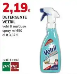 Basko Detergente Vetril offerta