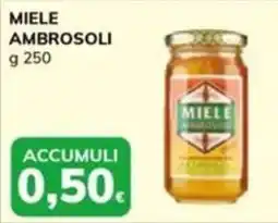 Basko Miele Ambrosoli offerta